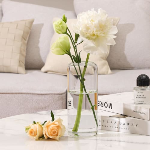 ComSaf Glass Vase, Transparent, Stylish, Scandinavian Design, Perfect for Living Rooms, Bedrooms, and Offices, Ideal for Hydroponics, Arranged Flowers