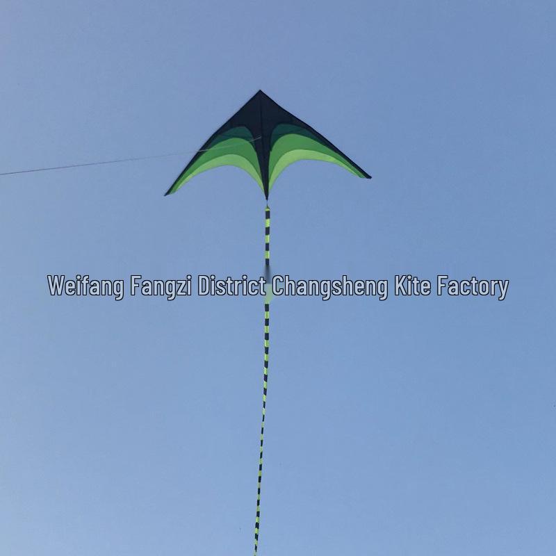 Легко запускаемый большой ветровой змей для детей и взрослых с длинным прерийным хвостом