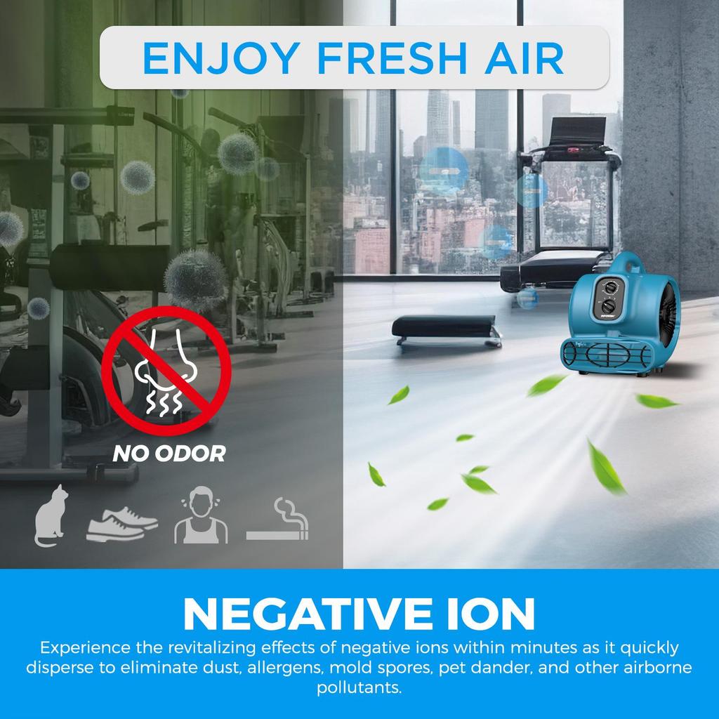 Fragrant breeze Floor Blower XPOWER Timer Air mover Blue Durable & Premium P-250T Grapefruit Scent Beads Air deodorization