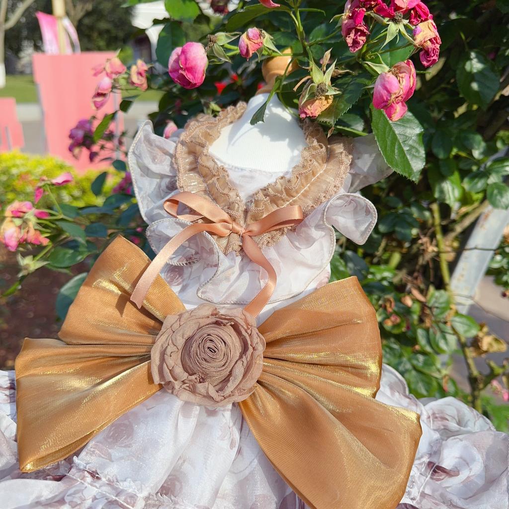 Luxury Khaki Roseflower Pet Dog Clothes Handmade Dot Print Long Tail Wedding Party Princess Dresses For Small Medium Dog Puppy