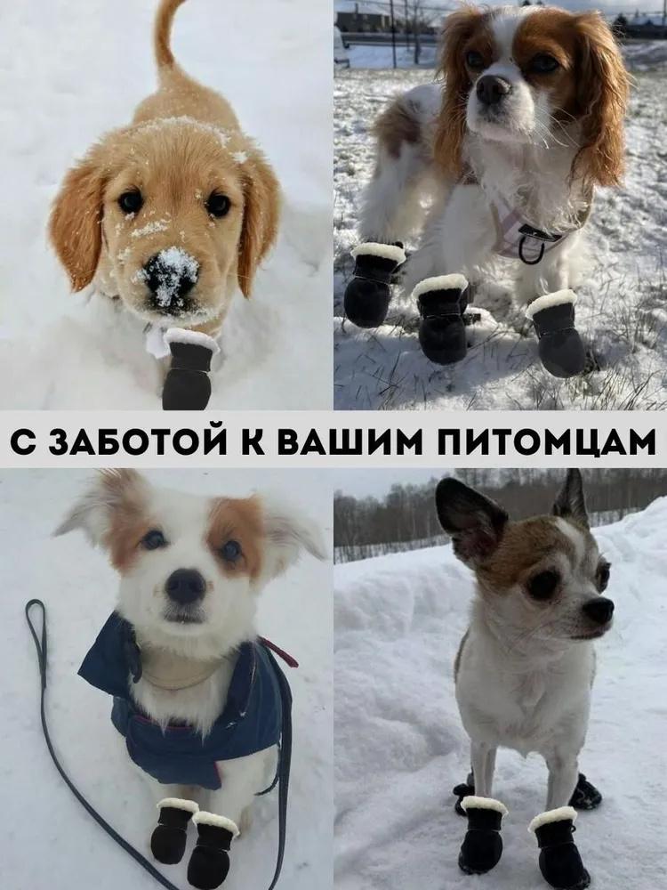 4 Pack Pet Boots For Dogs - Booties, Warm Covers For Indoor Use, Outdoor Walks & Winter/