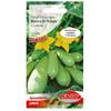 Pumpkin Zucchini Bianca Di Trieste Fresh Vegetable Seeds PREMIUM 2g
