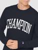 Champion Long Sleeve Crew Neck Graphic Logo Print Size S Men's T-Shirt, Navy, (C8-W421Z)