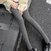 Spring Autumn Winter Women's Gray Vertical Stripe Fleece Lined Thick Warm Outer Wear Pantyhose & Black Compression Slimming Leggings