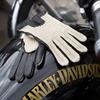 DENTS Kelly Women's Driving Gloves - Black