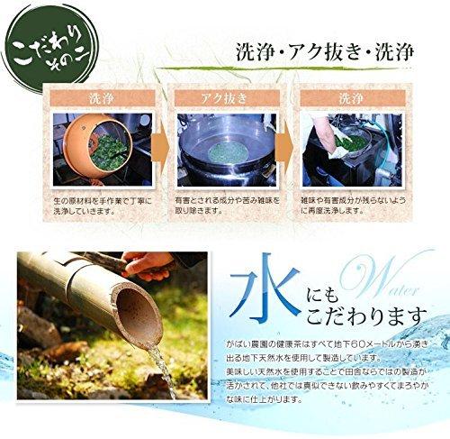 Gabai Farm Домашний чай ручной работы Ashitaba 2 г x 40 пакетиков Травяной чай Полезный чай Чайный пакетик Без кофеина Без добавок