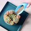 6 Pcs Gardening Soil Scoops Mini Potting Scoops Funnel Design Transplanting Scoops Garden Shovels for Succulents Flowers