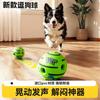 Pet Squeaky Ball Dog Toy for Teeth Grinding, Self-Entertainment Rolling Ball for Dogs Cats, Durable Chew Toys for Puppy Dog Training, Interactive Play