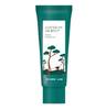 Pine Cica Soothing Cream Plus – Calming & Barrier Repair Cream 60ml