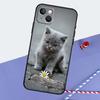 Красивый Серый Британский Короткошерстный Кот Чехол Для Телефона Для iPhone 16 Pro Max 11 13 14 15 Pro Max 12 Mini XR 16 15 Plus 16e Задняя Крышка