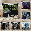 Синт Дарк Канадская Группа CCrystal Castles Наволочка Наволочка Антиклещевая Невидимая Молния Короткий Плюш Подушка для Дивана