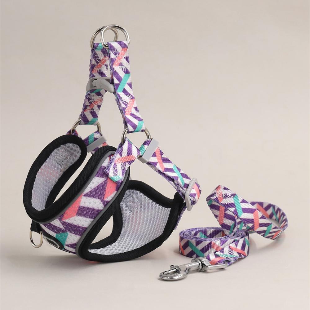 Регулируемый жилет для домашних животных для маленьких собак, предотвращающий побег щенков, шлейки и поводки для пинчеров, мальтийских болонок, поводки