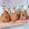 Poke Wool Felt Handmade Diy Doll Cute Chubby Capybara Gray Fish Beginner Material Kit Plush Toys Desktop Decorations