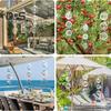 3/6/9Pcs Wind Chime Pendant Outdoor Decoration Birdproofing Shiny Bird Protection Solution Windmill Reflectors