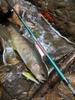 Tsulino Luana Mobile Compact 464UL Lure Rod Mobile Rod Compact Rod 464UL 4-Piece