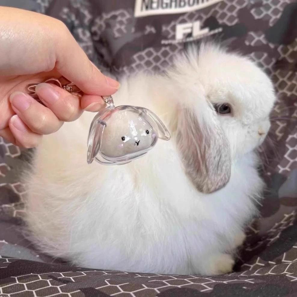 Прозрачный органайзер для шерсти питомца в виде кроличьей шерсти, подвеска-брелок, рюкзак-сувенир, капсула для хранения, мемориальная коллекционная сумка для питомца