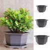 Home Plant Container Filter Water Succulent Box Hexagon Flower Pots Planter Plant Pot