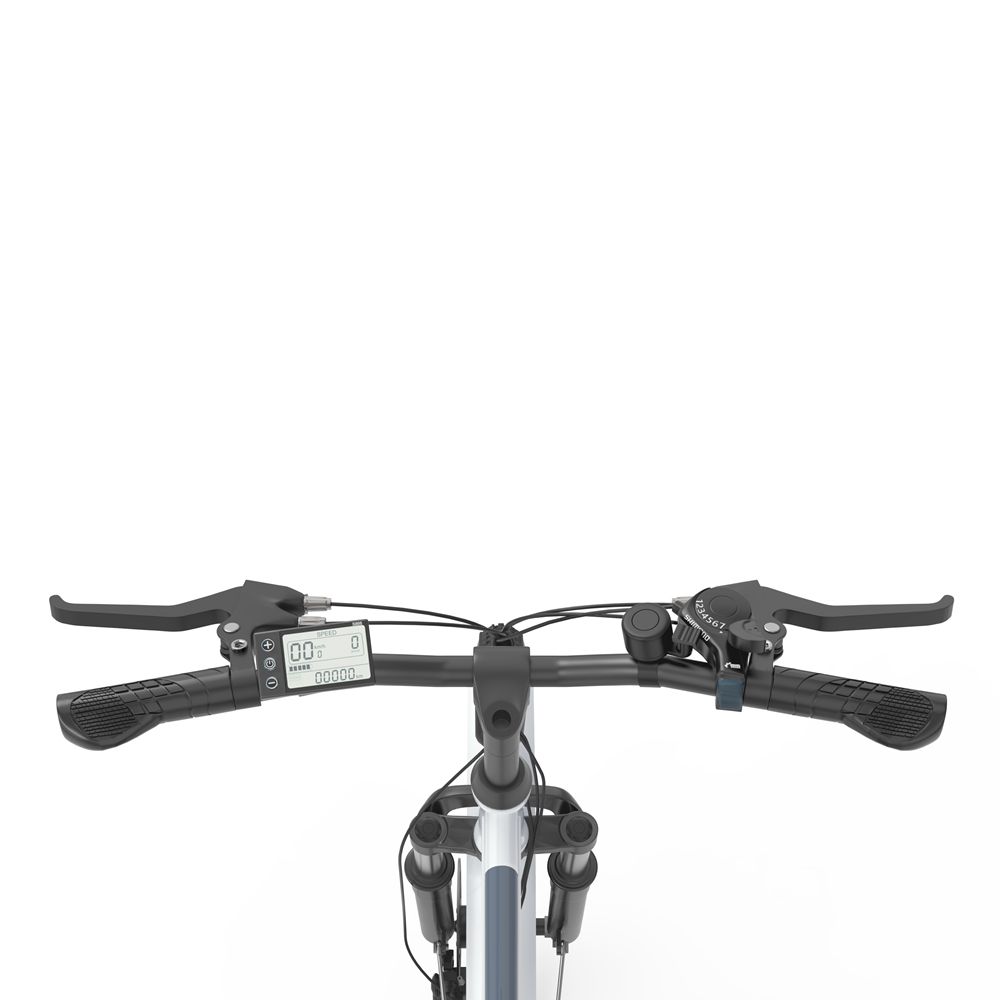 Electric Bicycle Zazawork C26 Pro 250W Motor 26" Tire City Electric Bike 36V 20Ah Urban Commuter Electric Bike 7 Speed Dual Disc Brakes