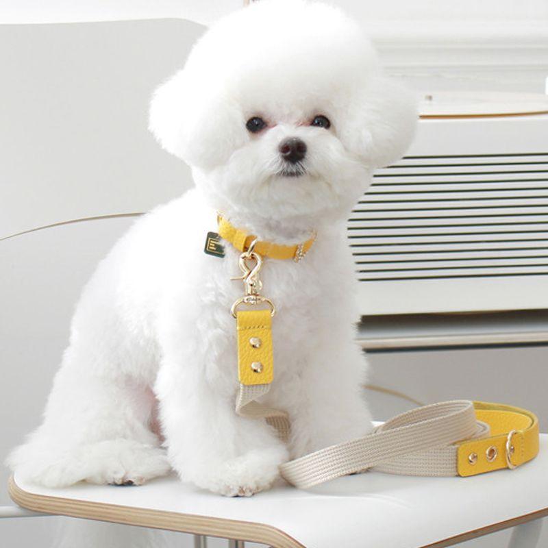 MAISON DE MIU Running Mate Leather&Webbing Lead_Yellow