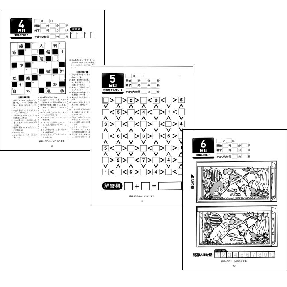 Рабочая тетрадь для взрослых Gakken Staful: Развивающая мозг 50-дневная головоломка 1 N05504