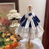 HAMRETHYPPZ BJD Ball Jointed Doll Dress Doll Costume Doll Maid Clothes Ball Jointed Doll Dress Up Princess Blue and White Princess Evening Princess