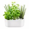 Effortless Hydroponic Scallion Kit: Soil-Free, Skill-Free, Quick Harvest for Home and Balcony