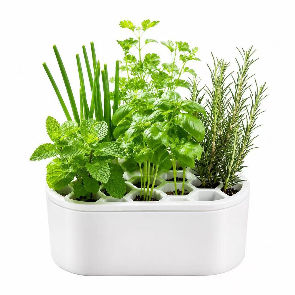 Effortless Hydroponic Scallion Kit: Soil-Free, Skill-Free, Quick Harvest for Home and Balcony