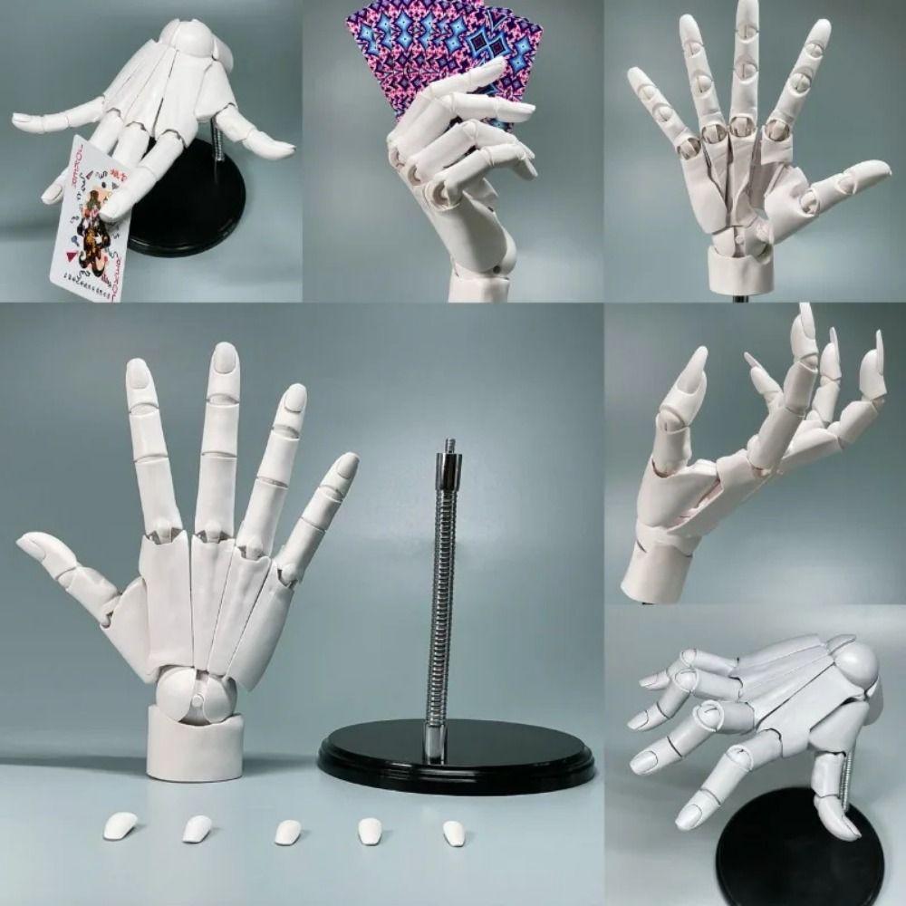 Left/Right Articulated Hand Model Adjustable Hand Finger Joint Figurine Home Decoration Gift