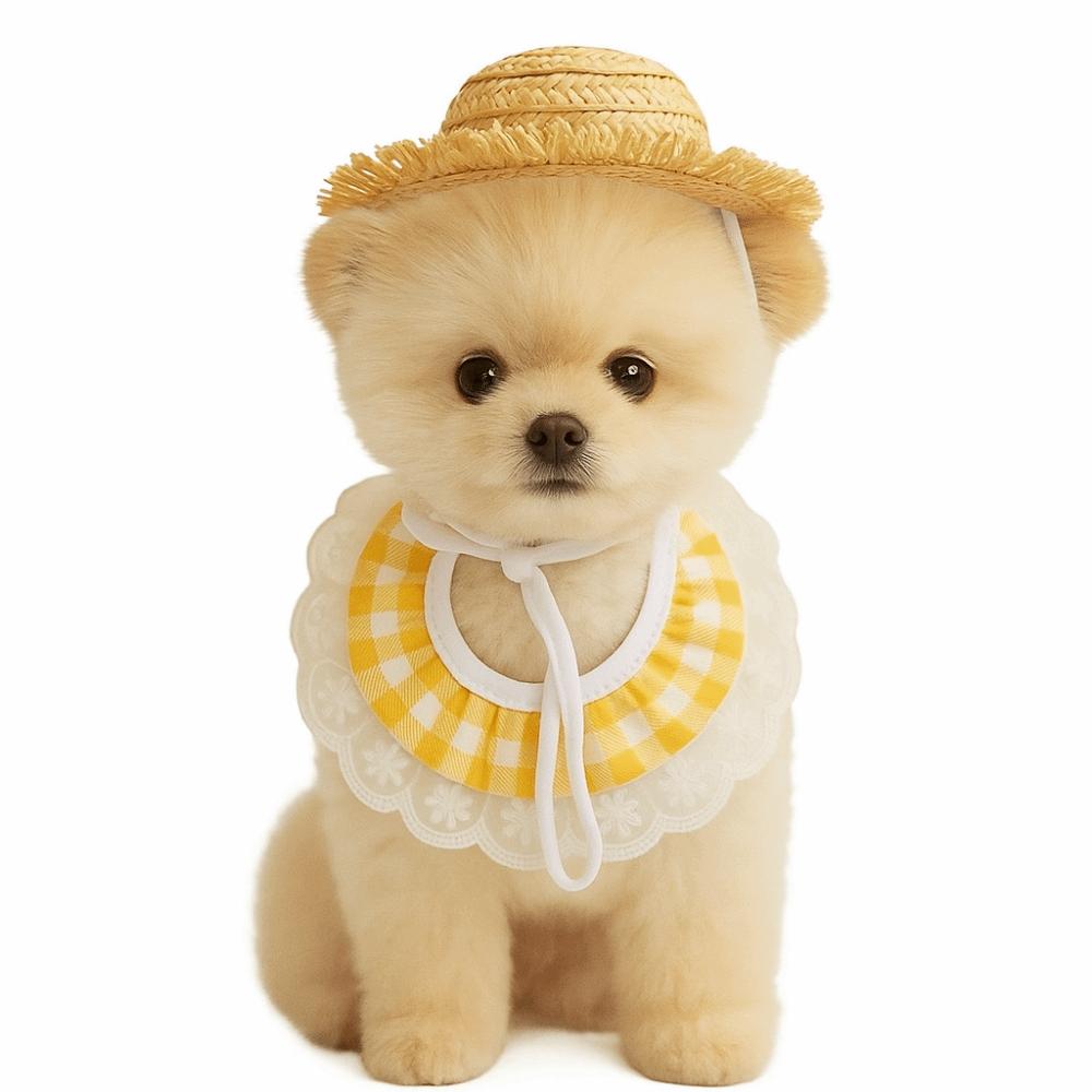 Смешной костюм гуся для крыльца, Костюм домашней птицы ручной работы, Шапка-гусь, Шарф, Аксессуары для ухода за уткой