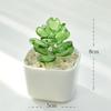 Glass Potted Cactus Ornaments - Ideal Office Décor and Unique Gifts