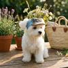 Korean Style Dog Sun Hat with Sunglasses Denim Cap Puppy Baseball Cap  Beach Activities