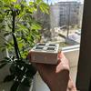 Горшок для рассады с 4 ячейками, самополивающийся, для саженцев, пластиковый, 4 ячейки с дренажными отверстиями, набор для наблюдения за ростом, стартер для суккулентов