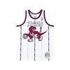 Джерси НБА Mitchell & Ness Raptors Трейси Макгрэди