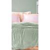 Двойное одеяло Olenna Wellsoft - Sage