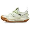 ACG Mountain Fly Low GTX SE 'Sea Glass' Мужские DD2861-001
