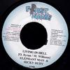 7-дюймовая пластинка ELEPHANT MAN RICKY RUDIE Living In Hell none Имя Musi 2001 Ямайка Регги Ска Даб Б/у