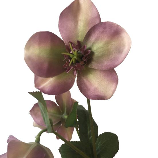 Искусственный цветок Не требует ухода Долговечная красота Реалистичные лепестки Текстура листьев Гибкие ветви Высокая степень имитации Цветок Домашний декор