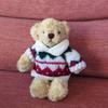 [USED] DreamingBears Teddy Bear with Sweater