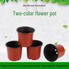 Two-Tone Soft Suction Plastic Succulent Pot for Green Plants - Simple Seedling and Small Flower Pot