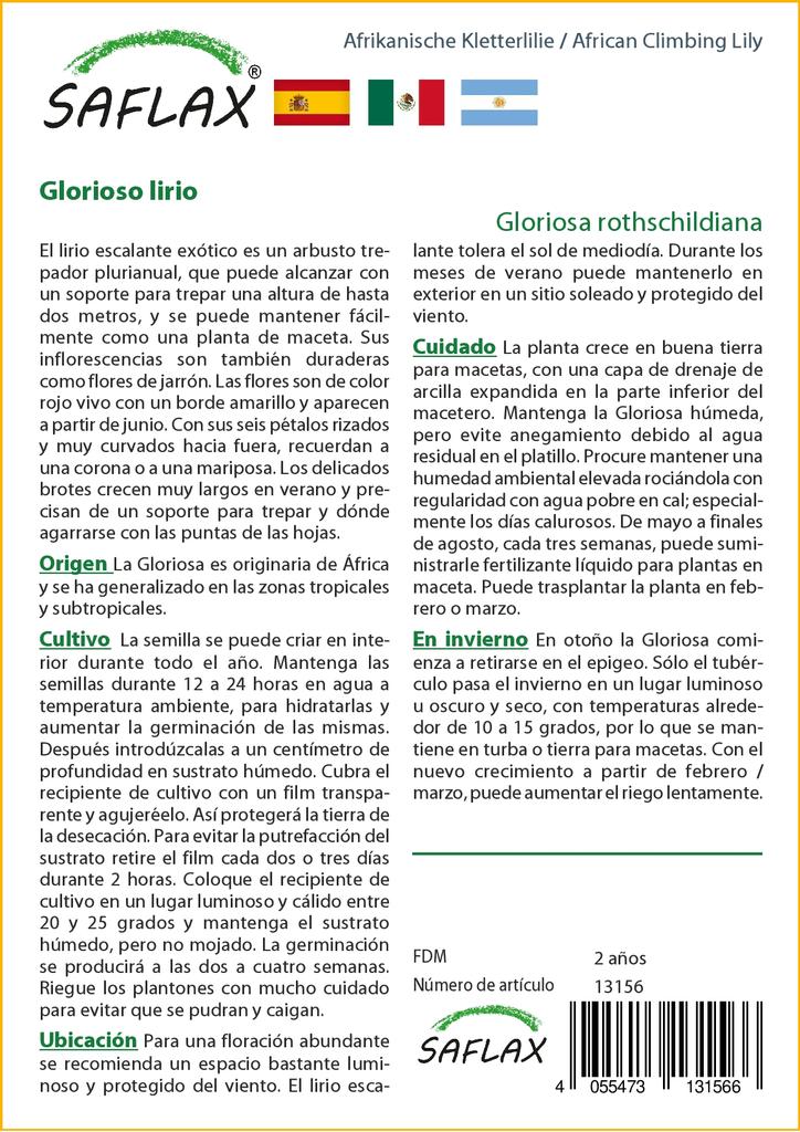 SAFLAX Лилия африканская вьющаяся - 15 семян - Gloriosa rothschildiana
