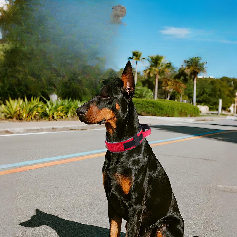 Тактический ошейник для собаки Взрывозащищенный Ручной Регулируемый Светоотражающий Ошейник на шею для питомца Нейлоновый ошейник для средних и крупных собак