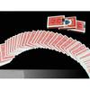 Bicycle Rider Back Playing Cards USPCC Standard Index Deck Magic Cards Magic Tricks