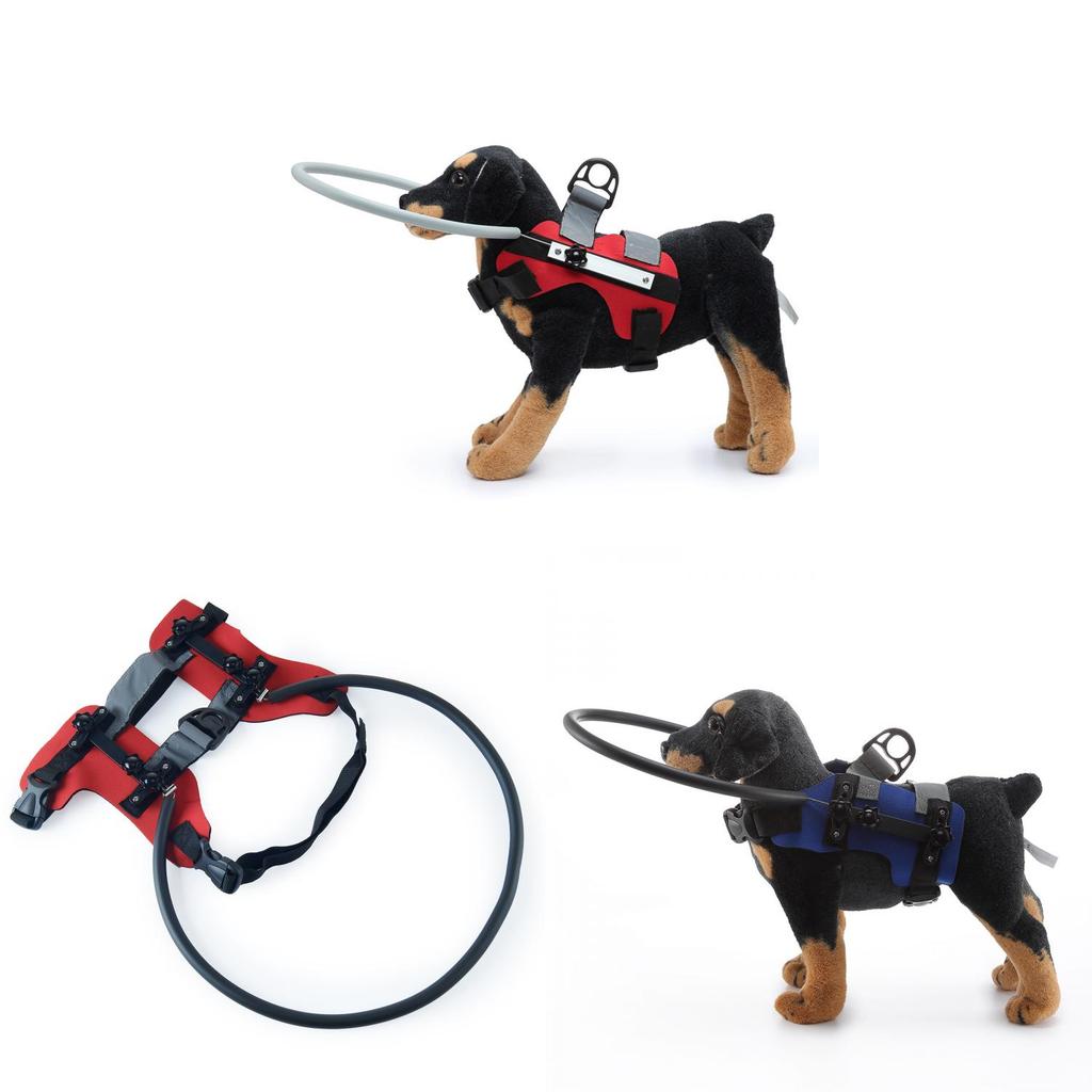 Dog Safety Preventive Ring For Blind Or Aging Dogs With Reinforced Polyester For All Seasons