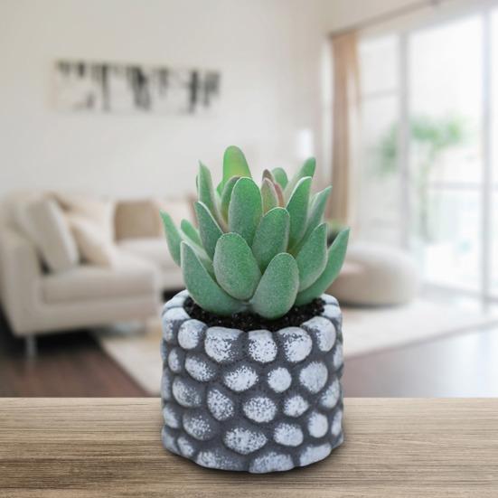 Desktop Ornament Simulation Bonsai No Watering Practical Artificial Succulents Plant