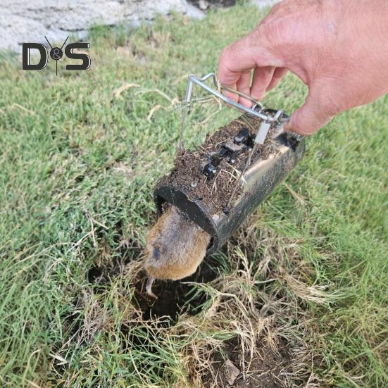 Ловушка для сусликов, туннель для борьбы с грызунами, многоразовая, не требует приманки, устойчивая ловушка для кротов для уничтожения крыс на ферме на открытом воздухе