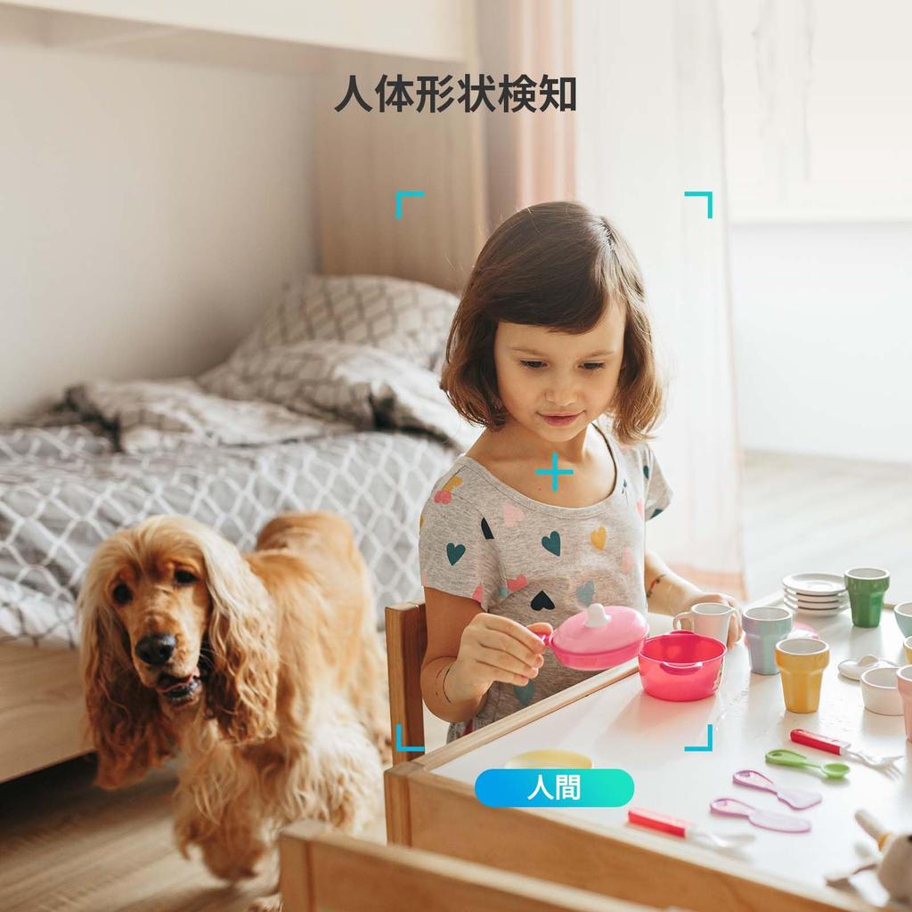 EZVIZ CP1 Pro 2MP Smartphone Compatible Pet Camera 1080P Color Night Vision Automatic Tracking Security Camera Indoor Alexa Compatible Japanese