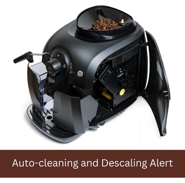 Кофемашина Gaggia RI8180 Besana