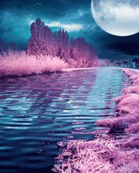 RUOPOTY Paint By Numbers Moon Scenery Unique Gift Home Decoration Picture By Number Sea Acrylic Drawing On Canvas