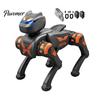 Programmable Electronic Dog Toy Remote Control Robot Toy, Voice Smart Electric Educational Puppy Interactive RC Mechanical for Toddlers Boys Girls
