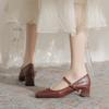 Temperament Retro Small Square Head Thick Heel High Heels 2025 New Red Mary Jane One-word Buckle Fashion Single Shoes Women